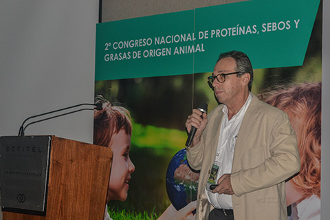 II Congreso internacional